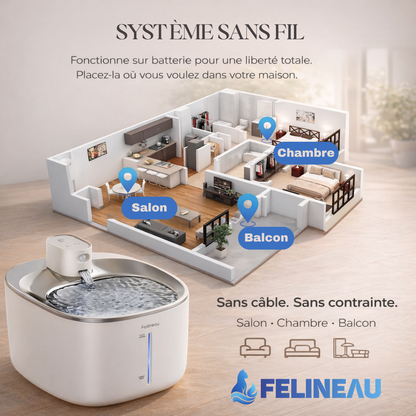Felineau Vital Suisse™ - Technologie d'hydratation avancée